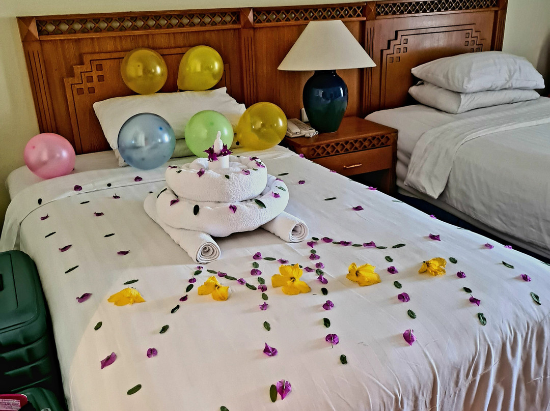 萨尔哈什古宫度假酒店主图