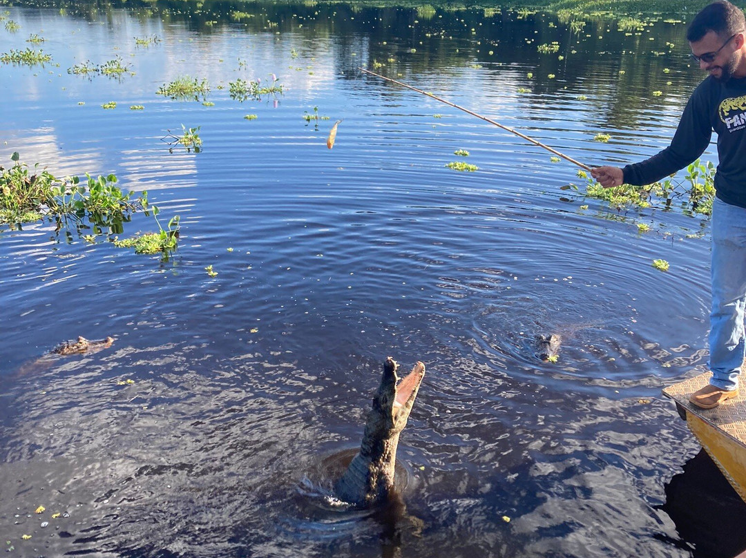 Pantanal Experiência景点图片