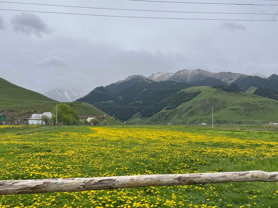 Altay Village Hotel