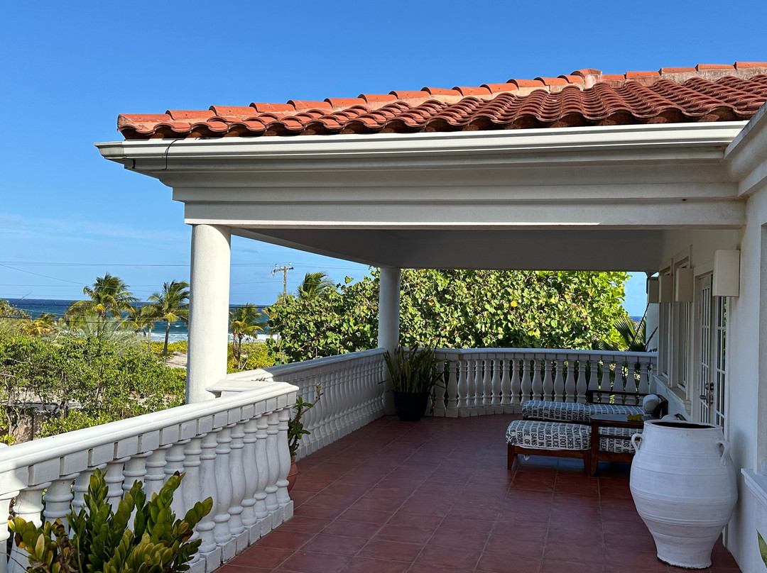 Le Soleil d'Or主图