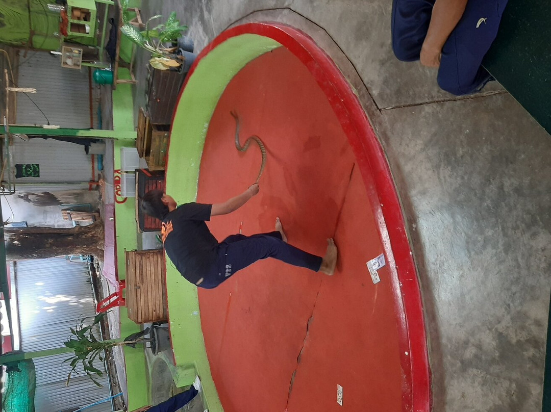 Phuket Private Driver-普吉镇必去景点