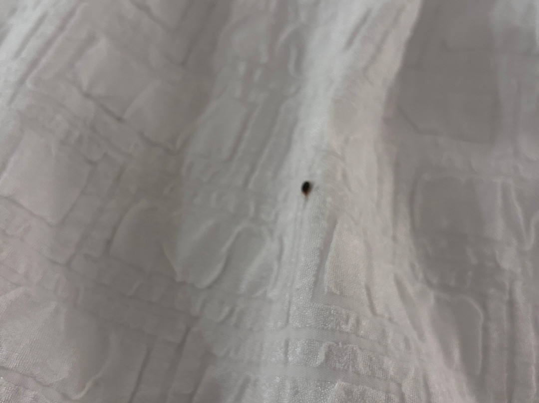 Hampton Inn Medina主图