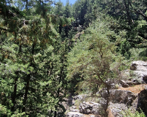 Chania Ebike Tours-干尼亚必去景点