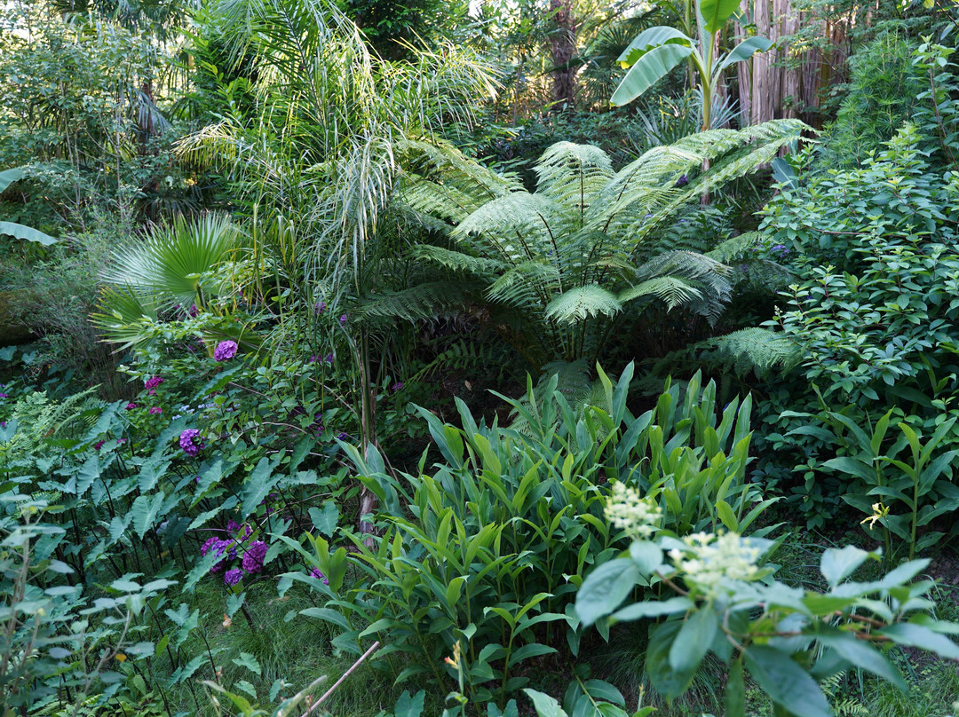 Jardin Des Barthes景点图片