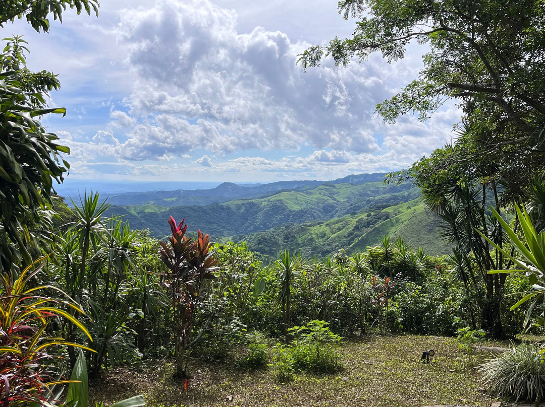 El Sol Monteverde主图