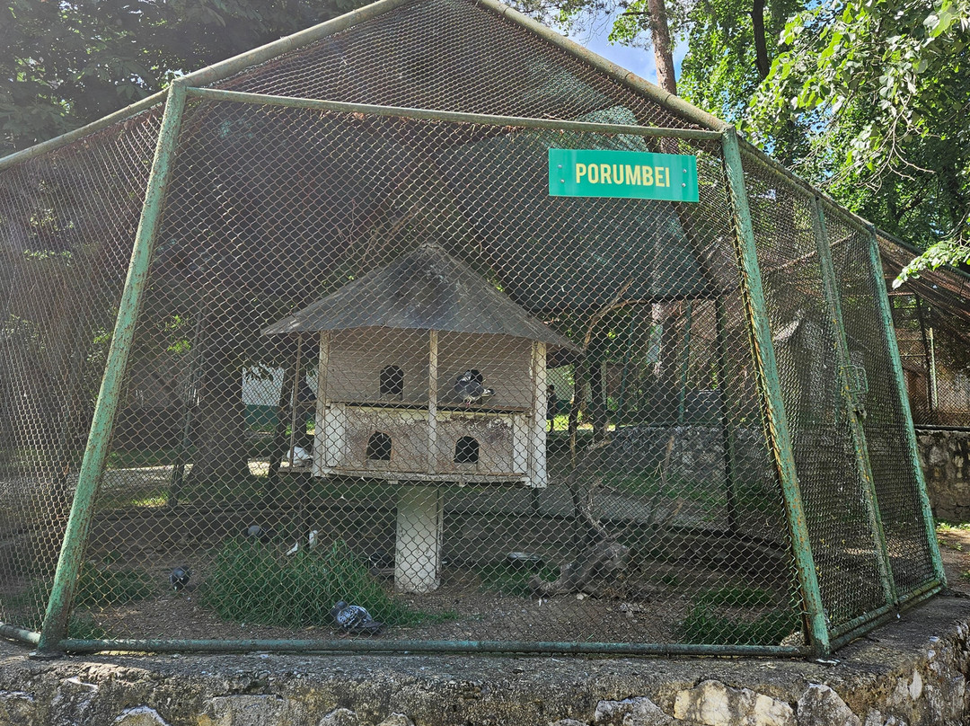 Zoo Reșița景点图片