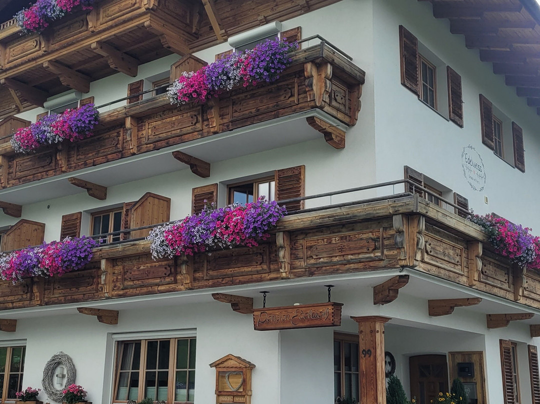 Pension Edelweiss主图