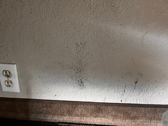 Microtel Inn & Suites by Wyndham Ames主图