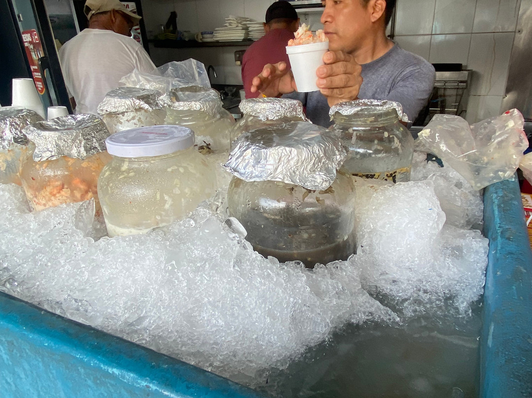 Yala Tours Panama景点图片