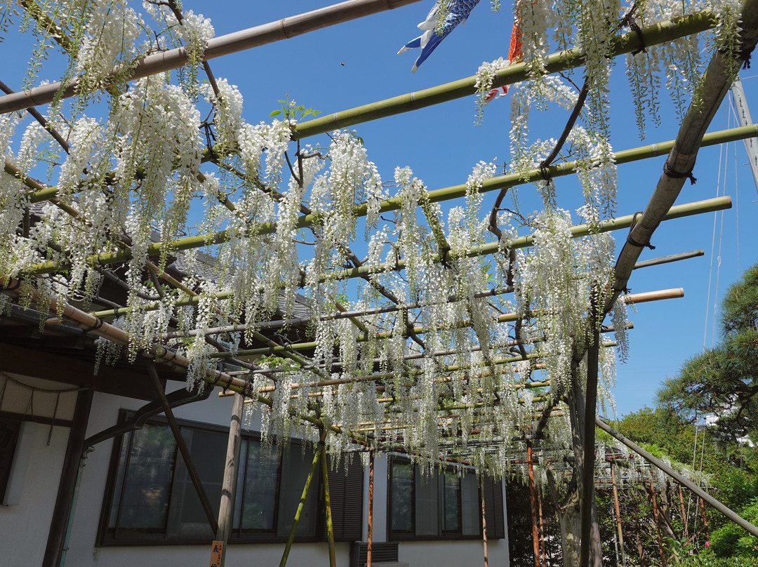 Shirahata Shrine-藤泽市必去景点