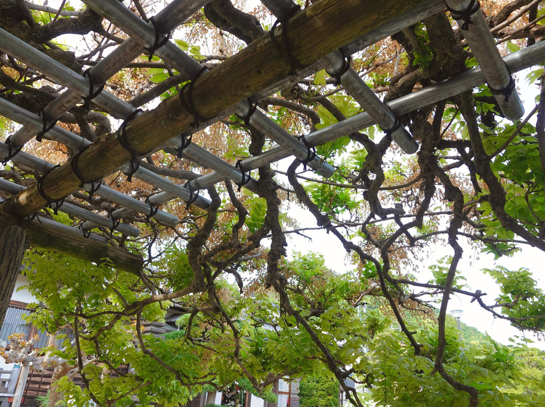 Tokaku-in-二宫町必去景点