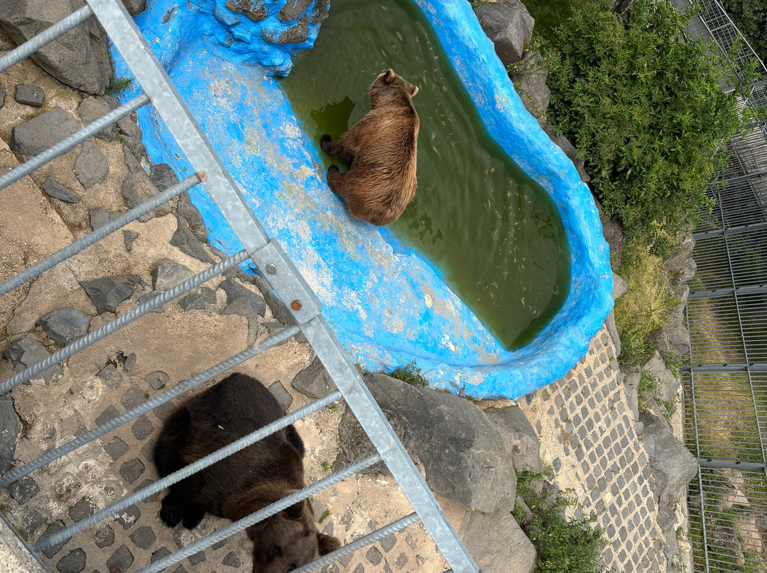 Wild- und Freizeitpark Klotten Cochem景点图片