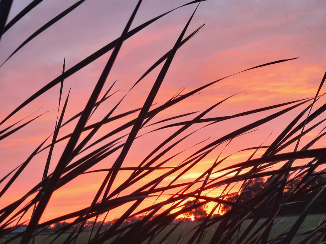 Bed & Breakfast Zazza主图