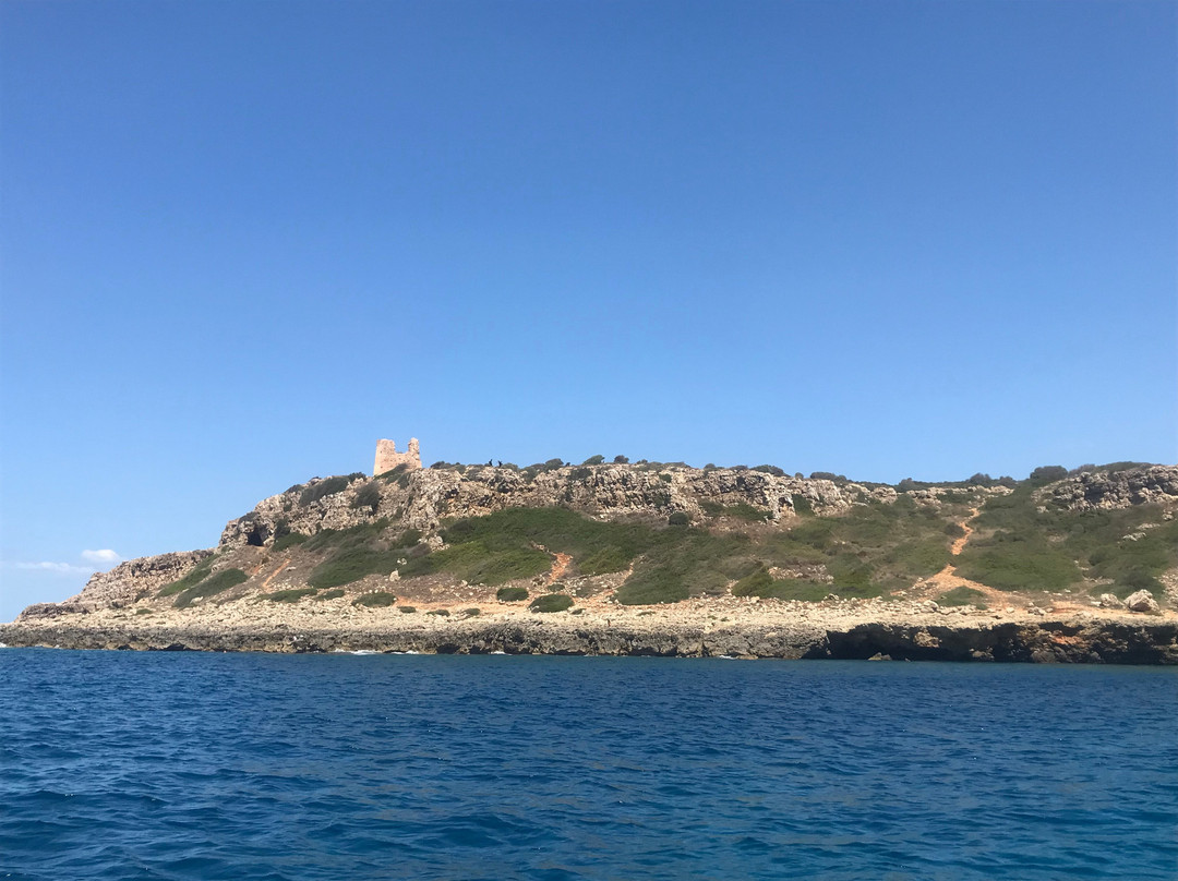 Centro Educazione Ambientale Porto Cesareo-切萨雷奥港必去景点
