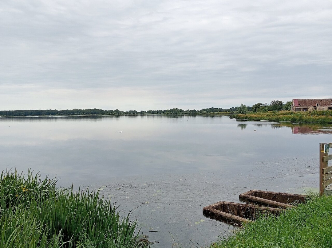 Réserve Naturelle Nationale de l'Etang des Landes景点图片