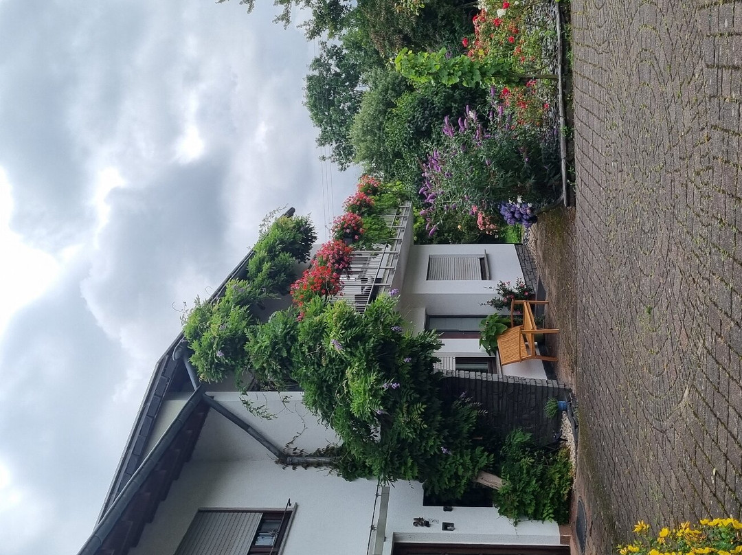 Weingut Raevenhof景点图片