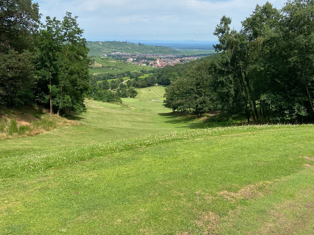 Golf Public d'Ammerschwihr Trois Epis景点图片