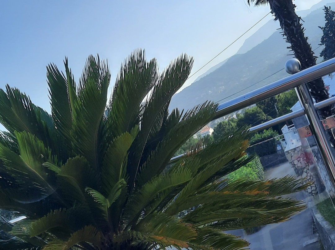Villa Roses Apartments & Wellness主图