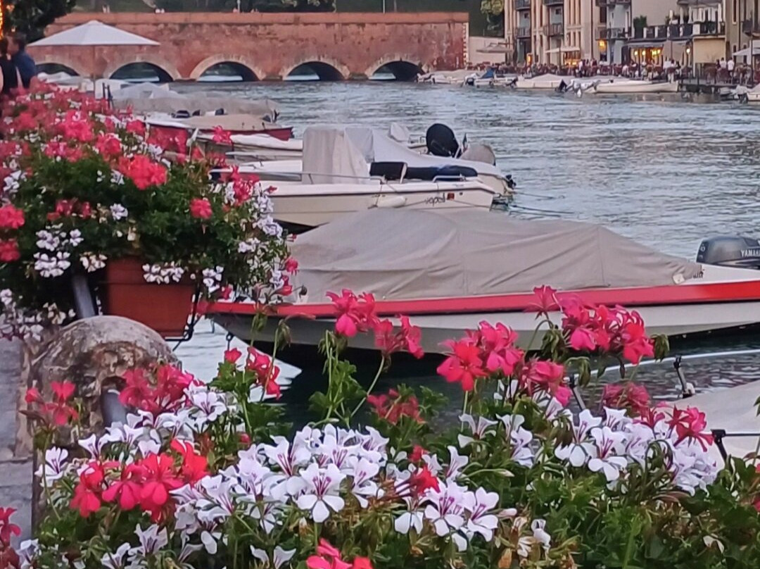 Ponte dei Voltoni景点图片