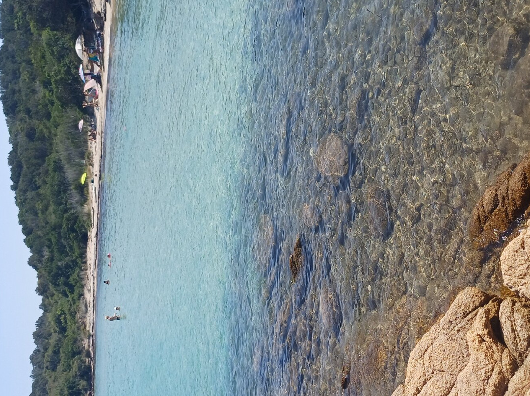 Spiaggia Le Piscine-Cannigione必去景点