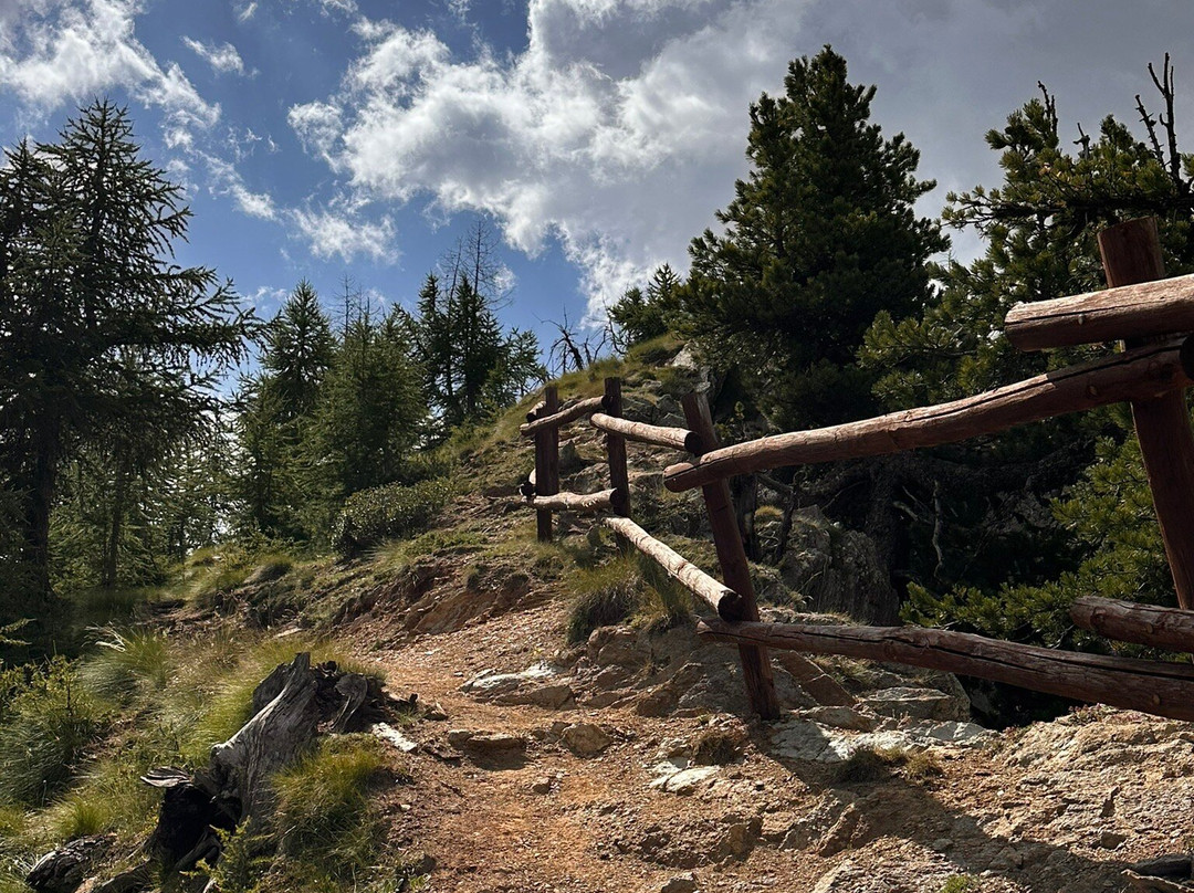 Parco Nazionale Gran Paradiso景点图片