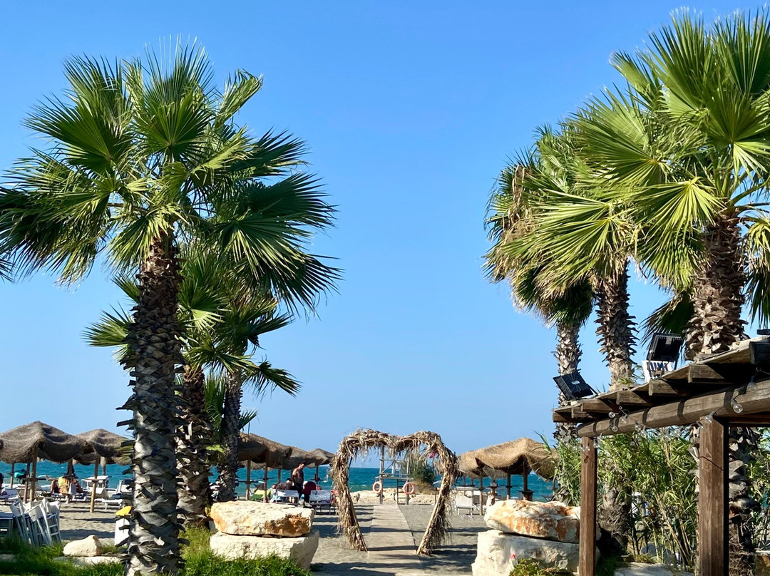 B&B Fenicottero Rosa主图