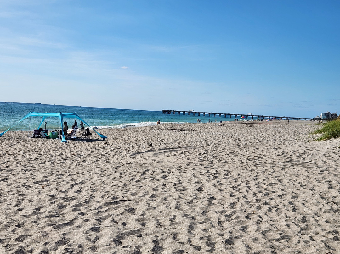 Jupiter Dog Beach-朱庇特必去景点