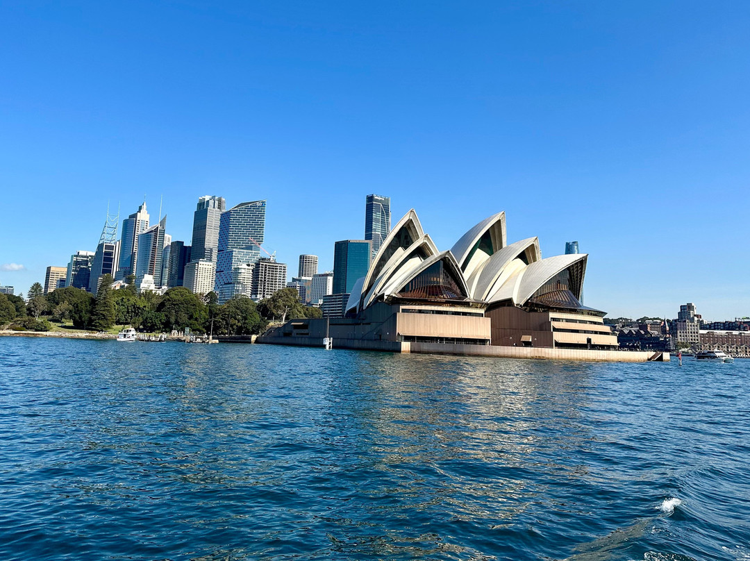 Go Whale Watching Sydney景点图片