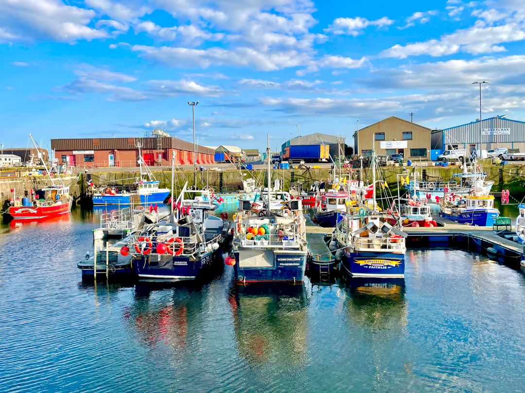 Fraserburgh Harbour景点图片