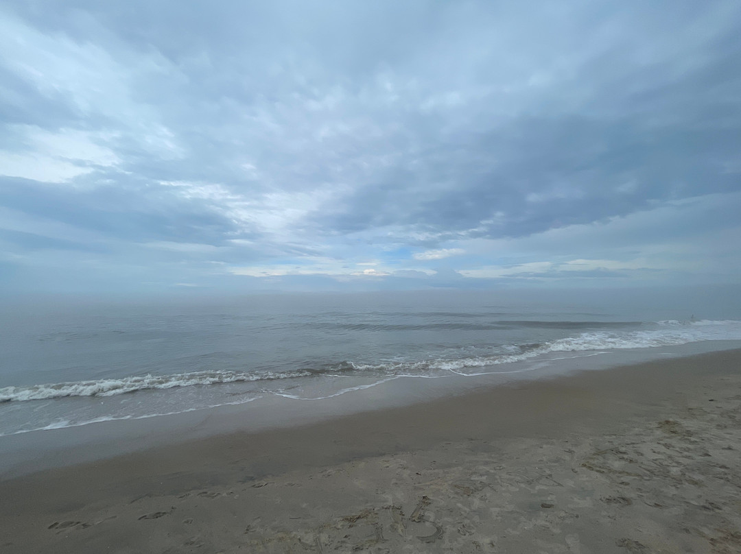 Beach House Dewey主图