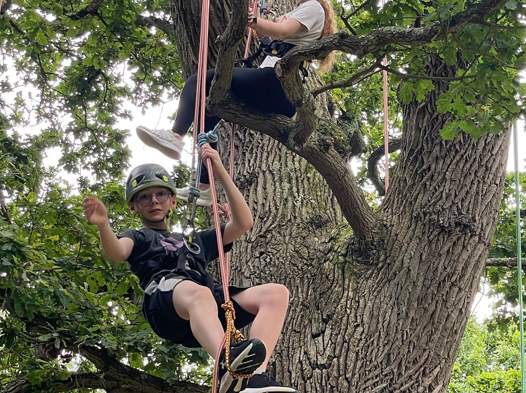 Goodleaf Tree Climbing-赖德必去景点