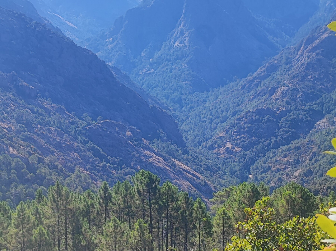 La Forêt De Bonifato景点图片