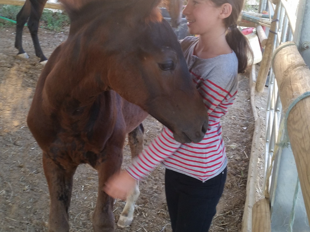 Centre Equestre du Rouret-Grospierres必去景点