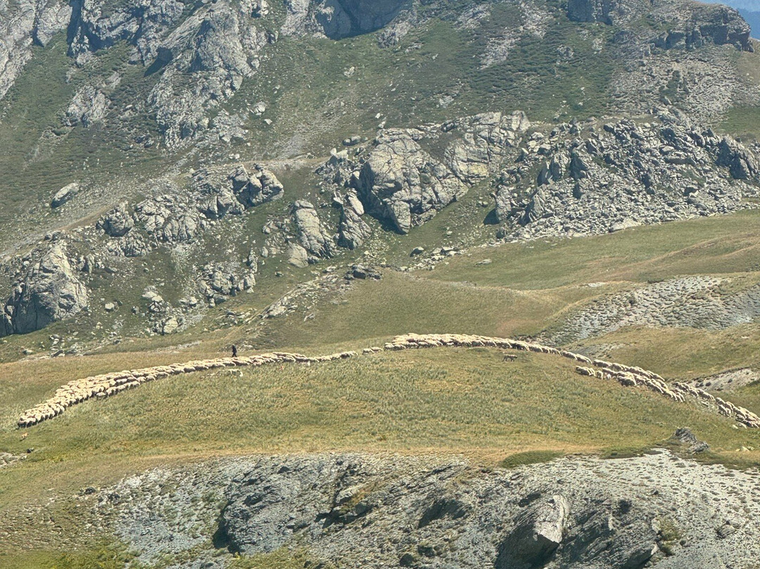 Mavrovo National Park景点图片