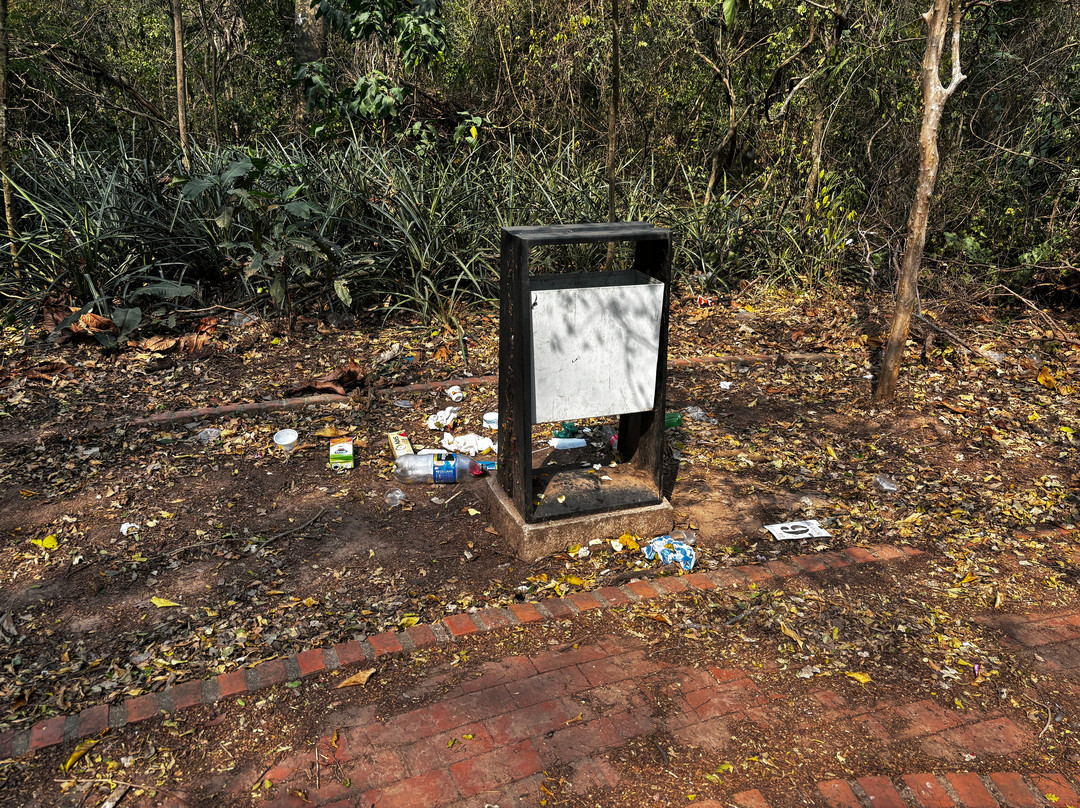 Jardin Botanico Santa Cruz景点图片