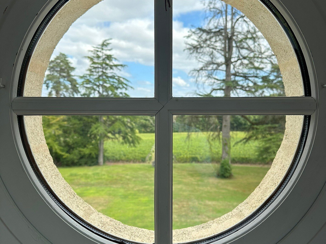 Château Le Pape主图