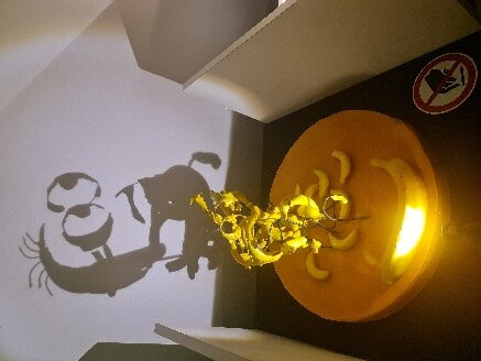 Shadow Museum景点图片