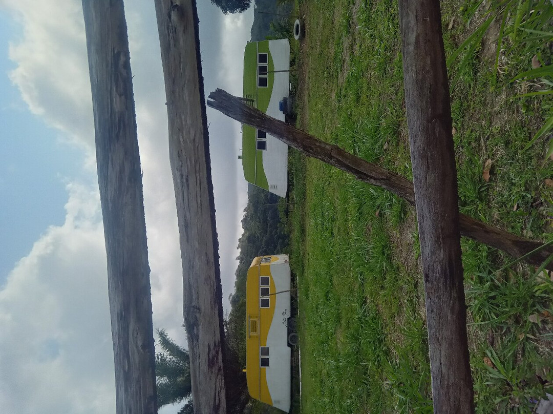 Cachoeira das Palmeiras-格拉瓦塔必去景点