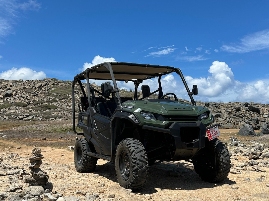 Touriffic Adventures Aruba-奥腊涅斯塔德必去景点