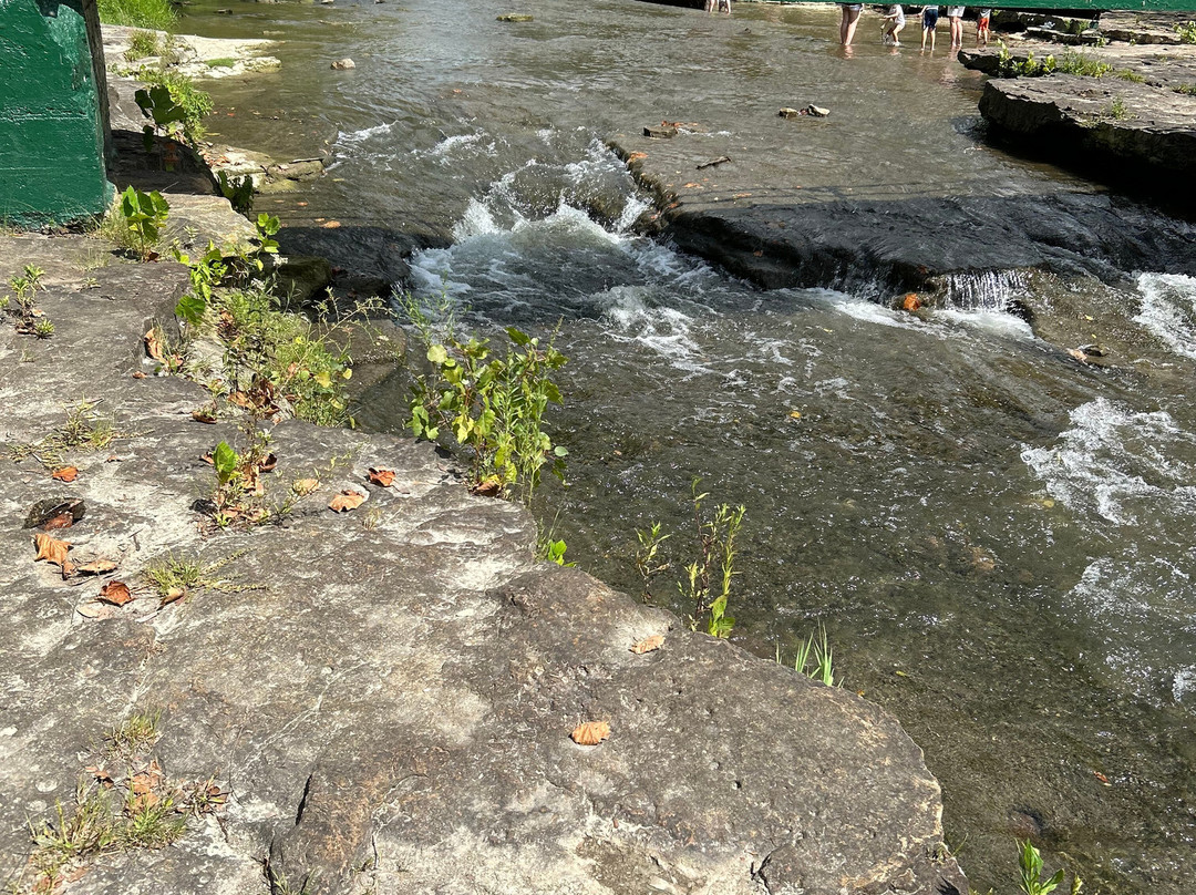 Pendleton Falls Park景点图片