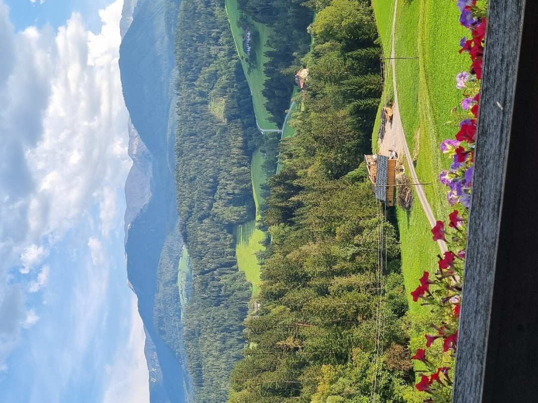 Hotel Sonnfeld主图