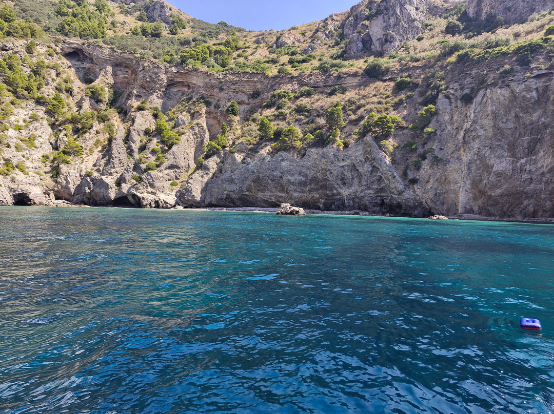 Visite guidate dell'Area Marina Protetta Punta Campanella-马萨卢布伦塞必去景点