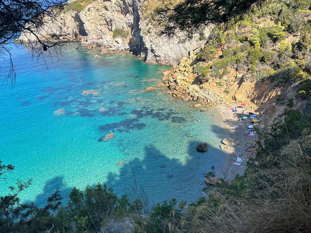 Cala del Gesso景点图片