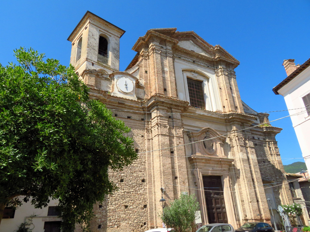 Collegiata di San Michele Arcangelo景点图片