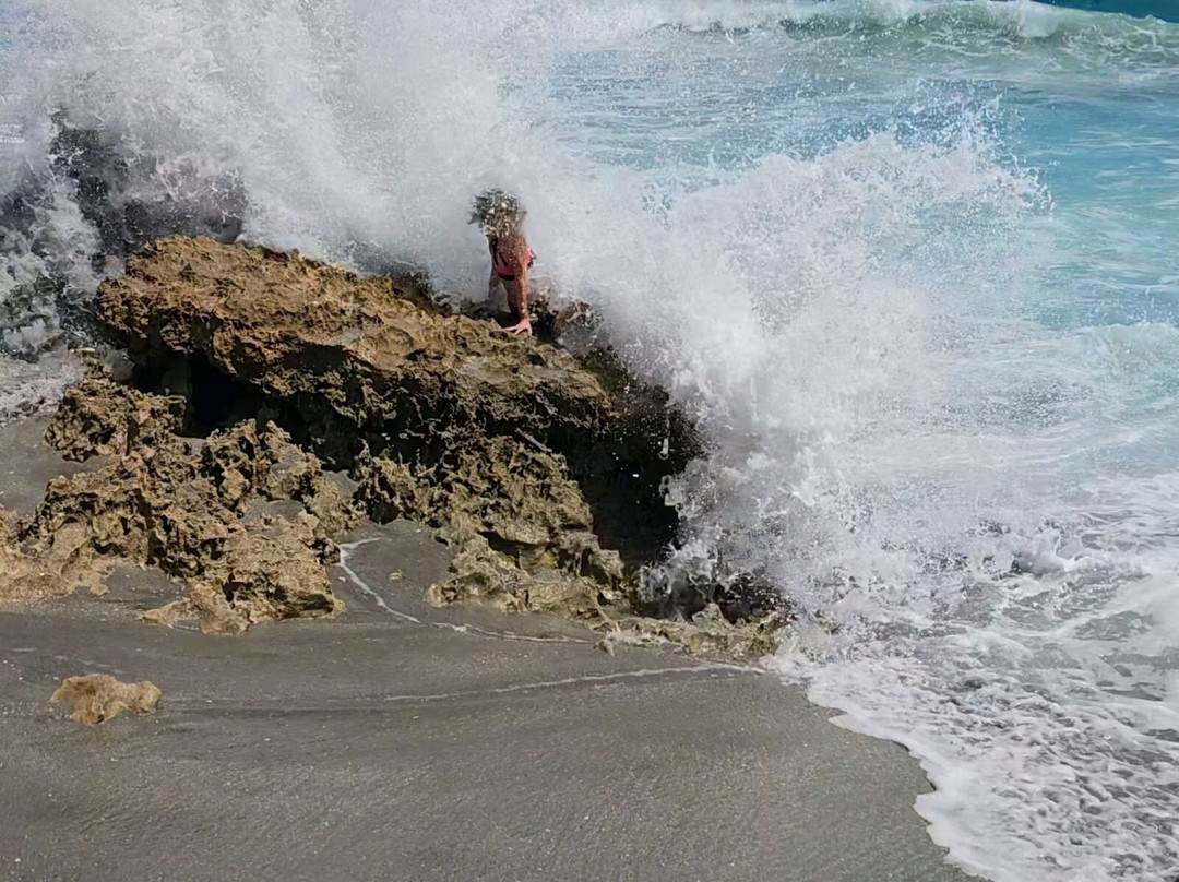 Blowing Rocks Nature Preserve-朱庇特必去景点