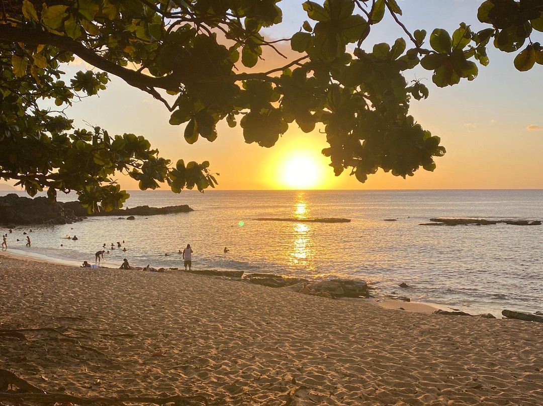 Three Tables Dive Site-Pupukea必去景点