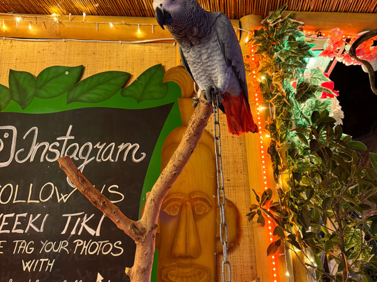Cheeki Tiki Bar-桑塔尼必去景点