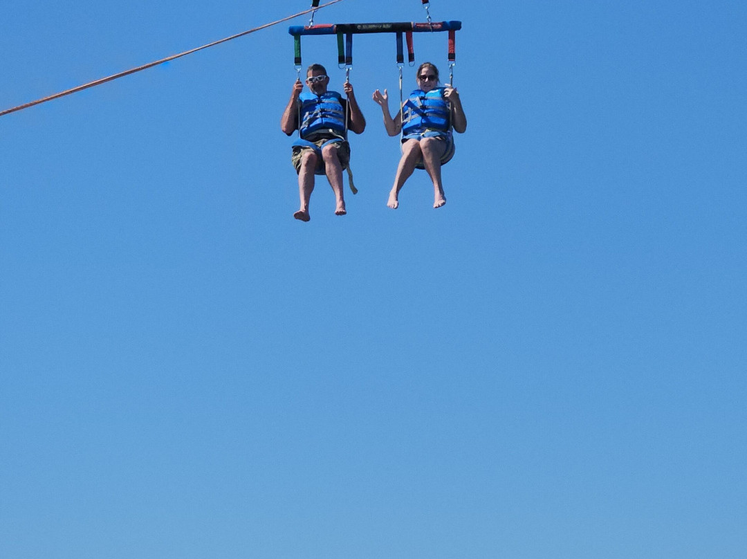 Shark's Cove Marina-Fenwick Island必去景点