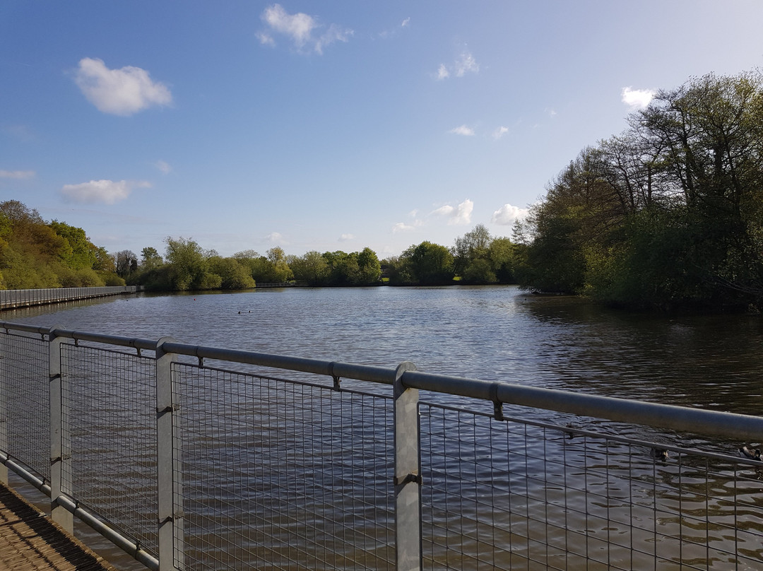 Ifield Mill Pond and Bewbush Water Gardens景点图片