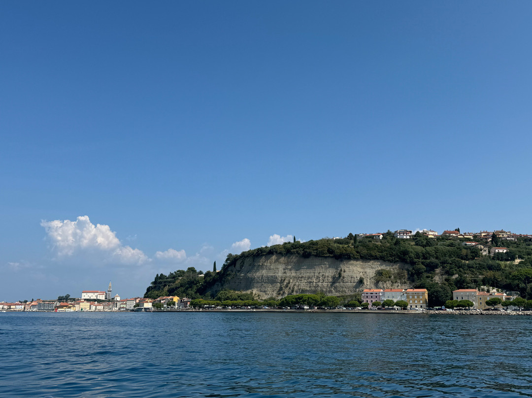 Rent a Boat Portoroz-波多若斯必去景点